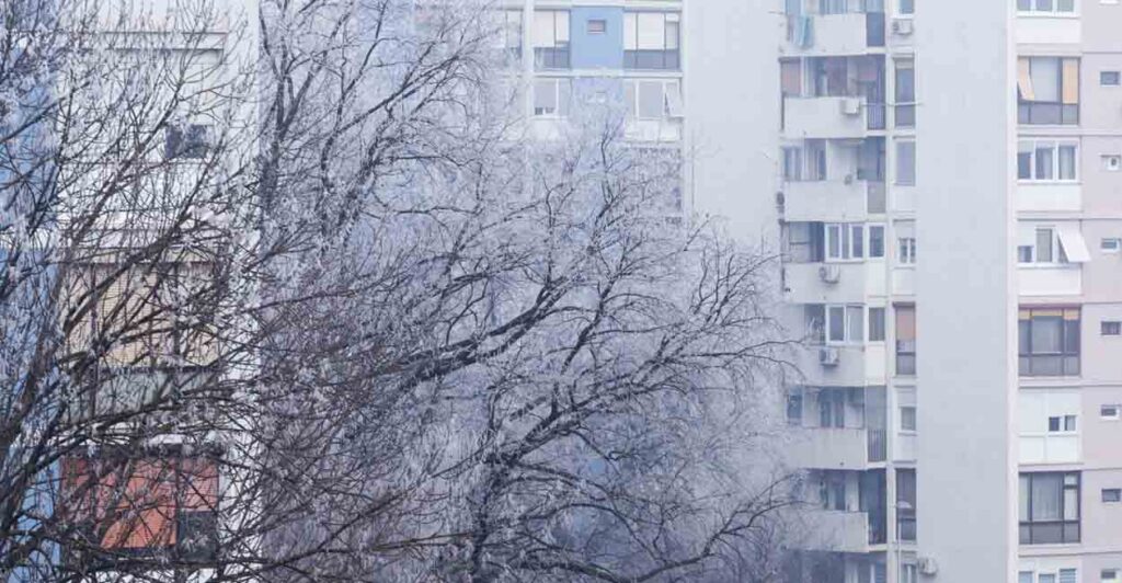 В Самарской области из-за сильного ветра объявлен желтый уровень опасности