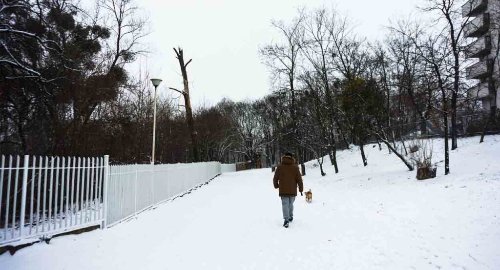 Эксперты Роскачества рассказали, как защитить телефон от холода