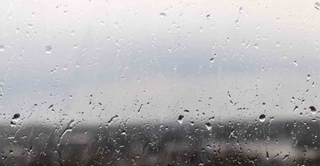 Пасмурно и небольшой дождь: синоптики рассказали о погоде в Самаре на среду 15 ноября