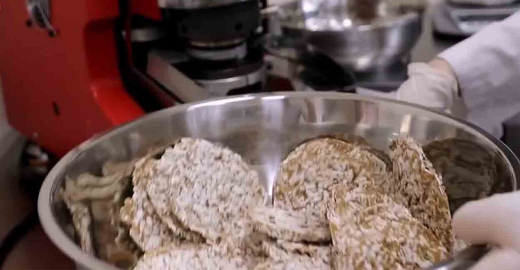 Ученые Самарского политеха начали производить натуральные хлебцы из риса и пшеницы
