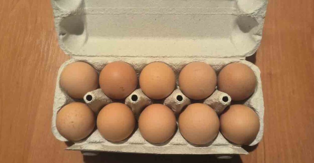 Стало известно, когда в Самару прекратят завозить дешевые яйца