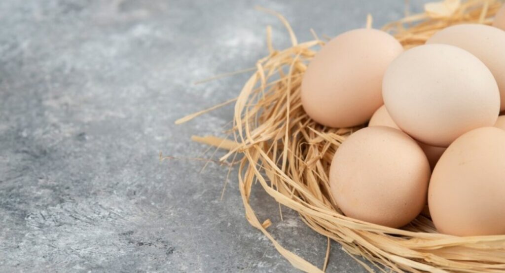 Самарские аграрии нарастили производство яиц на 2,5%