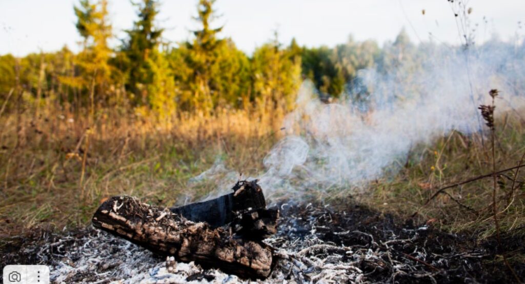 Приволжское УГМС: в Самарскую область идет потепление, что увеличивает риск лесных пожаров
