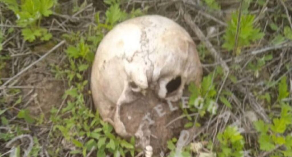 Человеческий череп был обнаружен возле Фрунзенского моста в Самаре