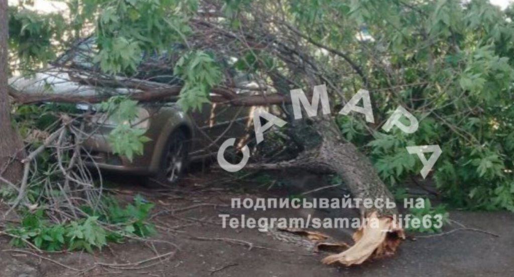 Ветвистое дерево упало на легковушку в самарском сквере Мичурина