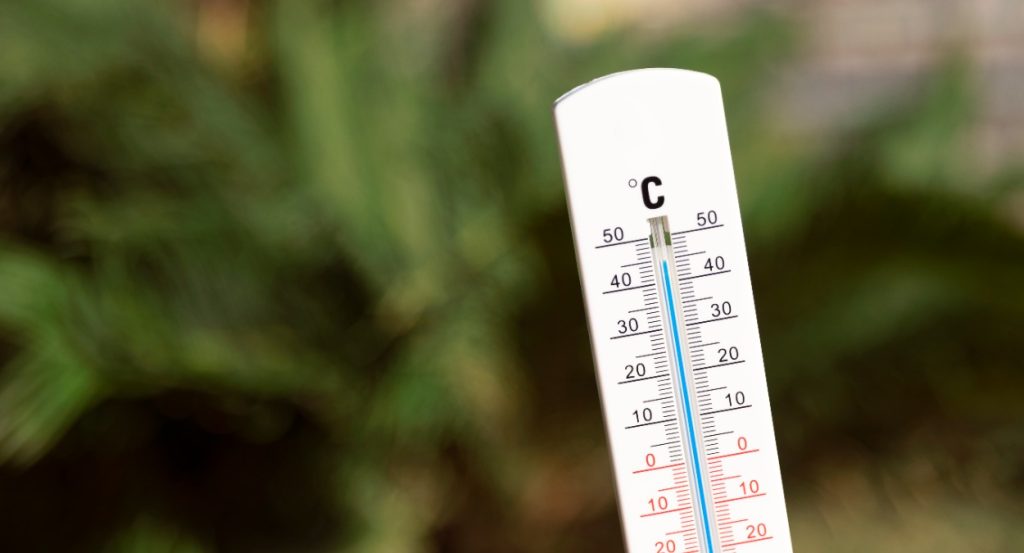Самара и Тольятти побили исторические температурные рекорды 17 июня