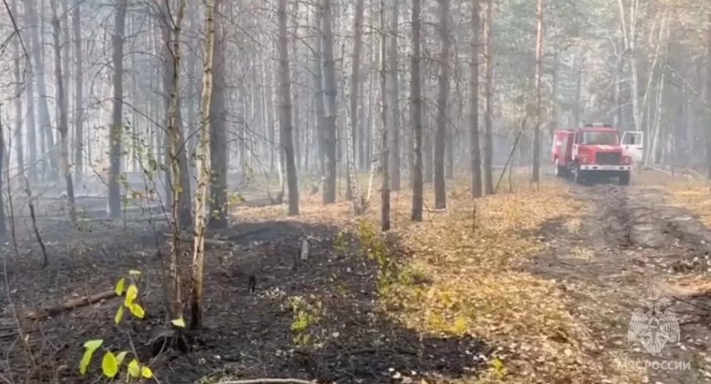 К тушению пожара в Рачейском лесничестве подключили авиацию