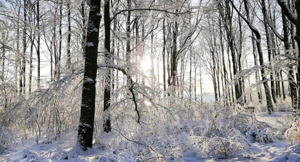 В Самарской области похолодает до -11°C на Рождество