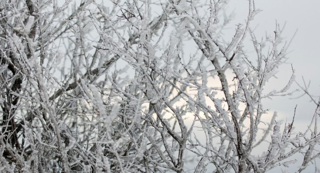 Cамарцев ждет резкое похолодание до -18°C на следующей неделе