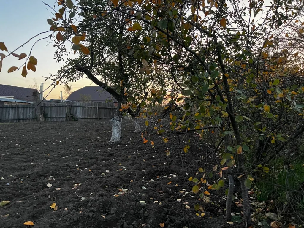 Не соль, не уксус: траву на садовой дорожке уничтожил за пару минут — дедовский метод избавил от сорняков на целый год