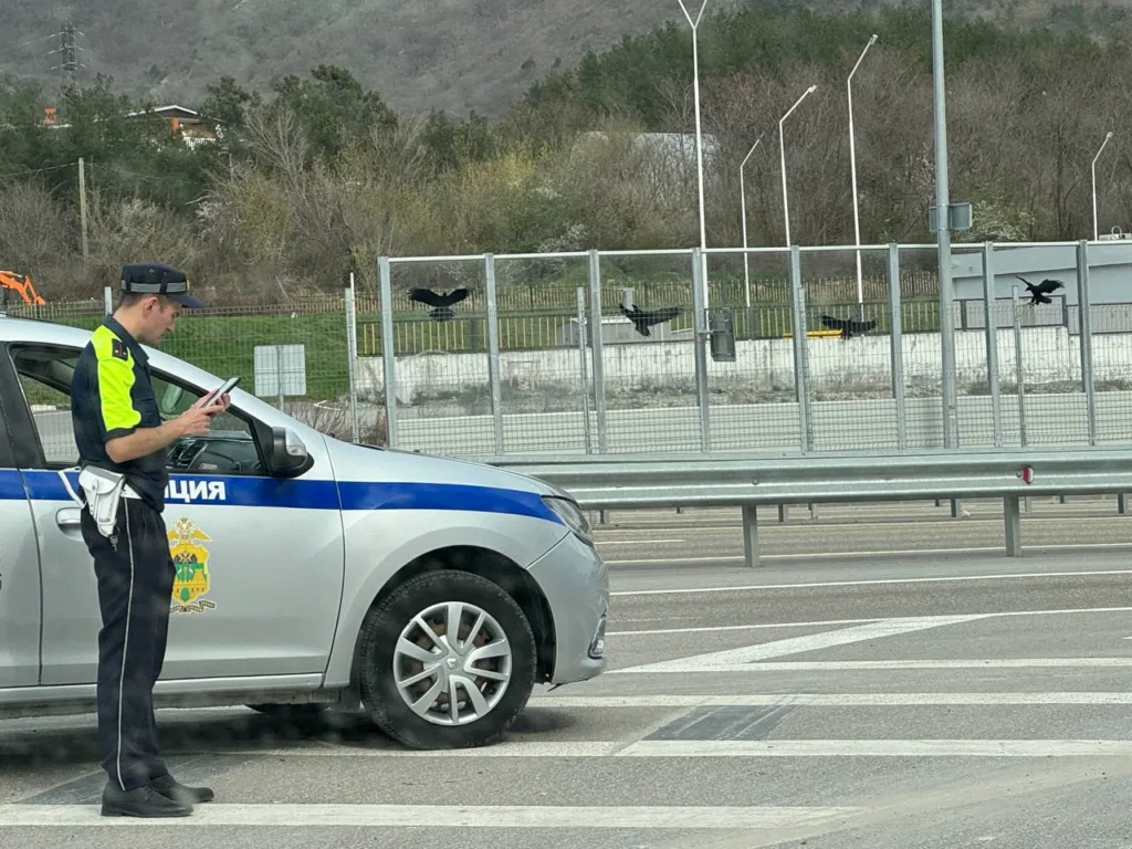Автоюрист раскрыл, какие 3 документа никогда не стоит показывать инспектору ГАИ
