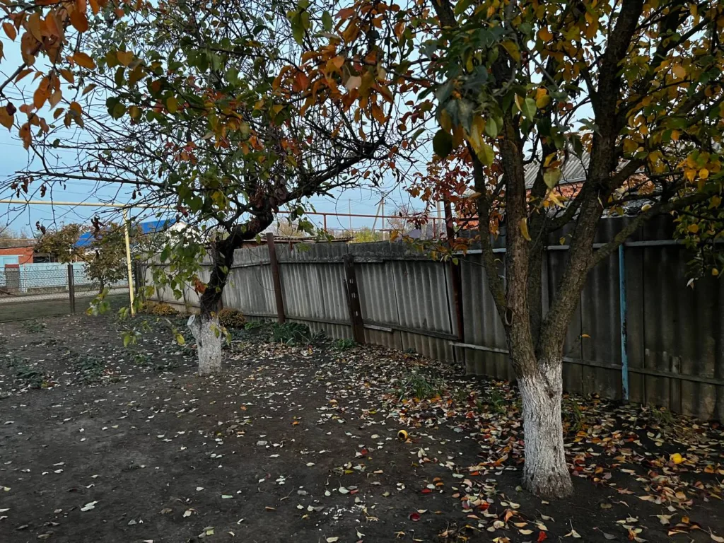 Не соль, не уксус: дедовский способ устранил сорняки за пару минут — и на целый год!