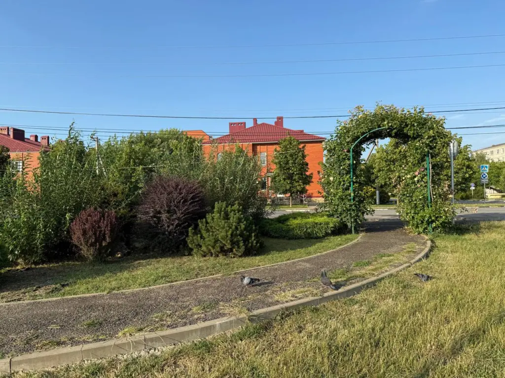 «Аномальная жара до +35 вернется, но с подвохом». Синоптики обновили прогноз на конец июня 2025