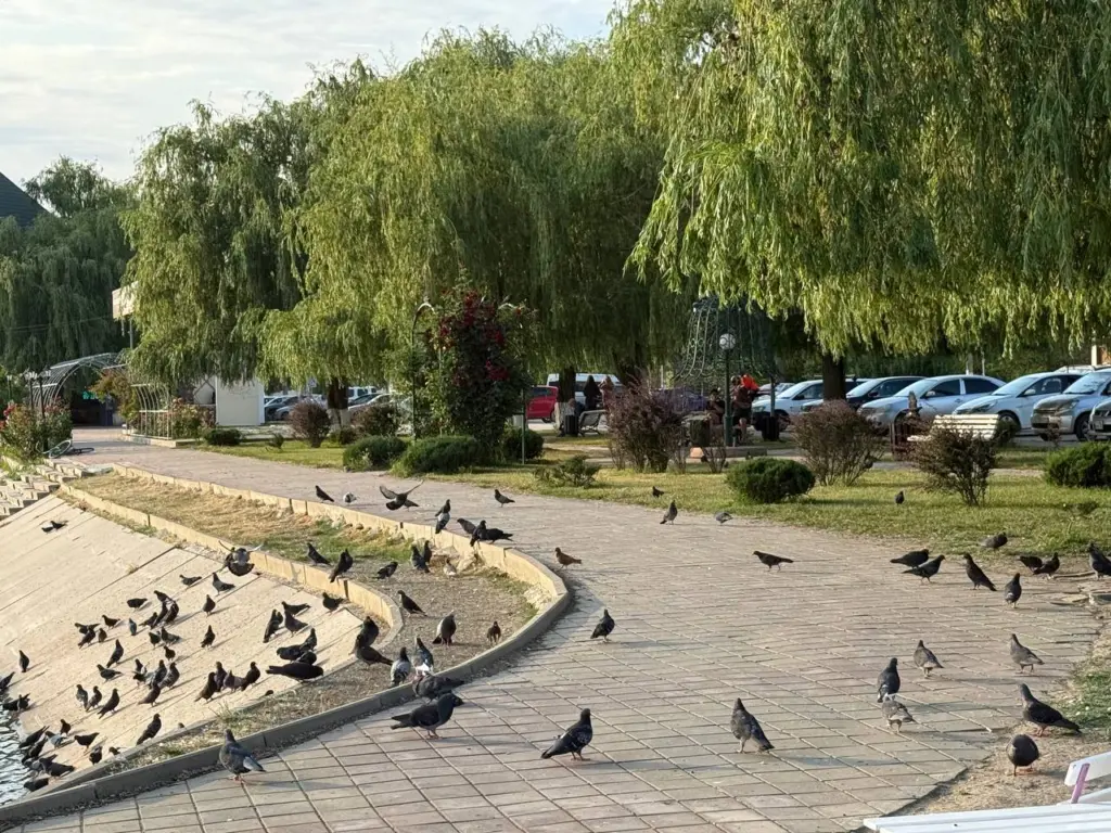 «Адская жара +45, засуха и нашествие саранчи»: синоптики ошарашили прогнозом погоды на лето 2025 года