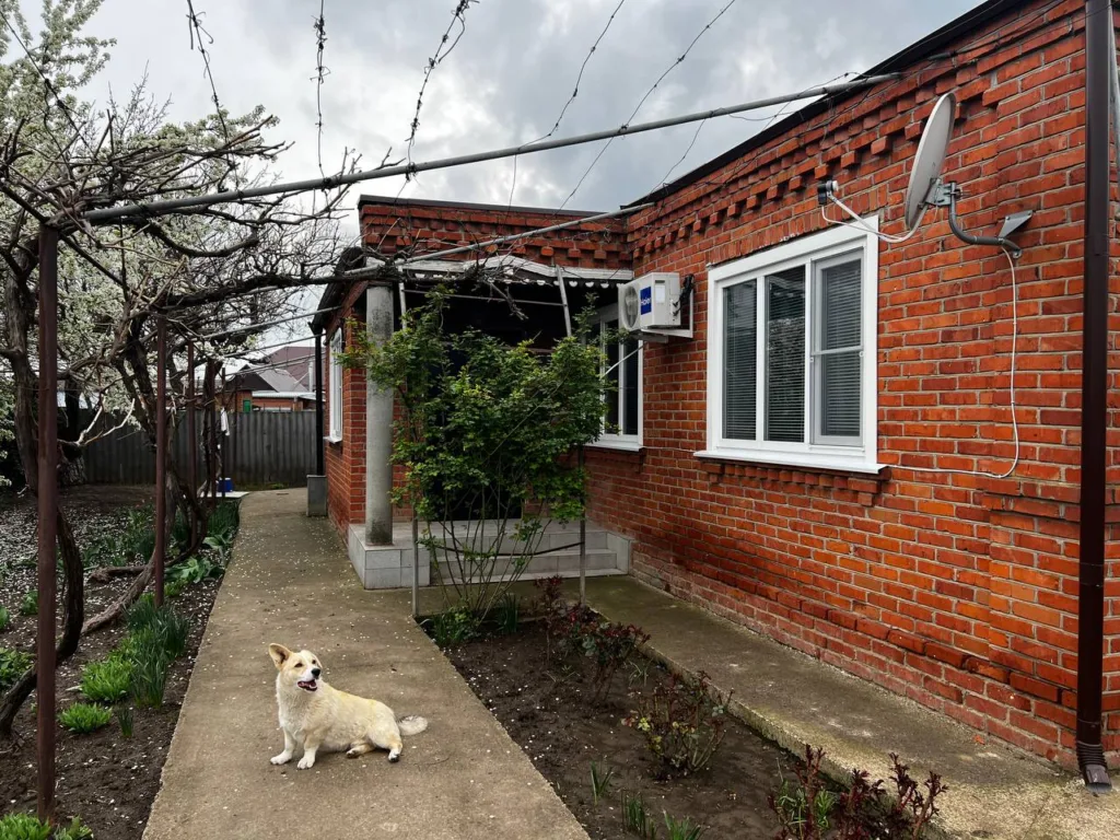 Не соль, не уксус: траву на садовой дорожке уничтожил за пару минут — дедовский способ избавил от сорняков надолго