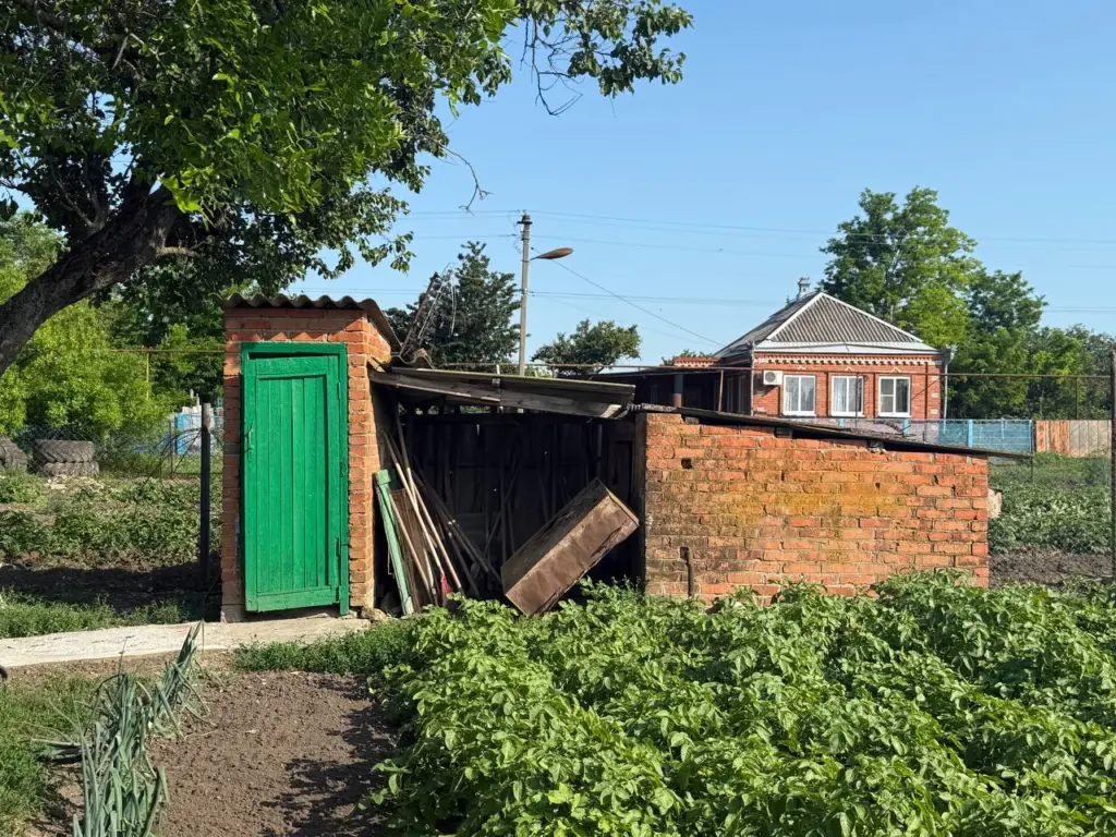 Осушит выгребную яму за 3 приема: этот природный ассенизатор функционирует, как настоящий водохлеб – выкачивает до 300 литров в день