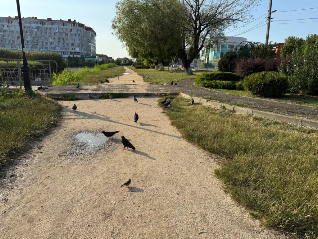 «Конец июля будет абсолютно аномальным». Синоптики рассказали, к чему нужно готовиться уже сейчас 