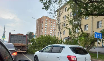 В результате шторма, который накрыл Самару 12 июля, происходят падения деревьев