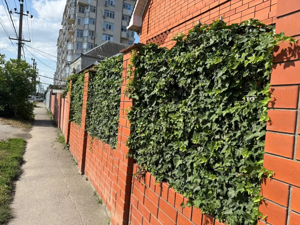 Современное ограждение для загородного дома: профлист уходит в прошлое — модный способ укрыться от глаз соседей