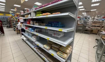 Лотки из-под яиц никогда не выбрасываю: сосед подсказал удивительное применение на даче — пользы вышло на миллион