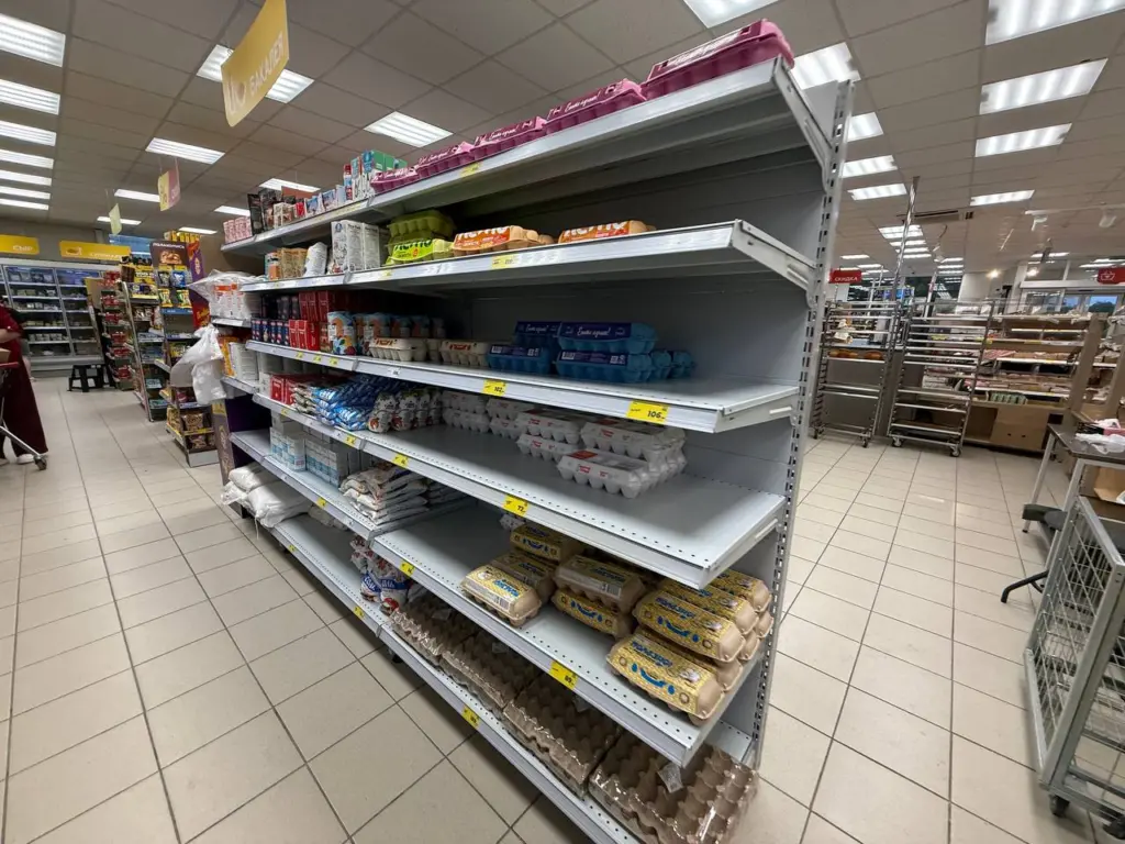 Лотки из-под яиц никогда не выбрасываю: сосед подсказал удивительное применение на даче — пользы вышло на миллион