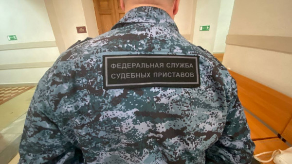 Областной суд подтвердил оправдательный вердикт самарских судебных приставов по резонансному делу