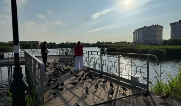 Что будет, если вам сделали гадость, а вы стерпели — опытный психолог дал важный ответ