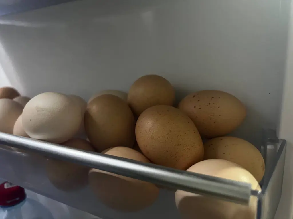 Эти яйца в магазинах больше не покупаем — они от больных кур: вот, какие нужно искать теперь