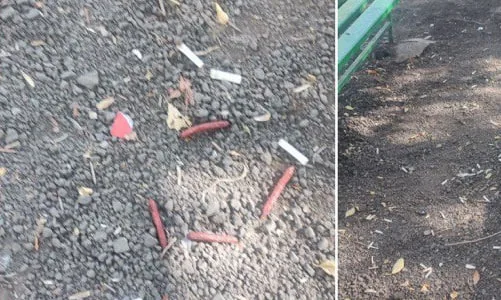 В Самаре 21 сентября произошло массовое отравление собак и кошек, совершенное неизвестными лицами