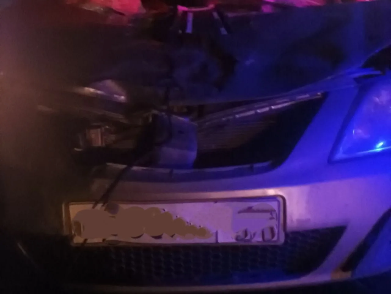 Лось не выжил после аварии с автомобилем на дороге неподалеку от Самары