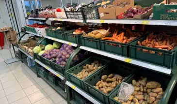Этот овощ резко подорожал в магазинах и на рынках: закупитесь, пока не стало не поздно