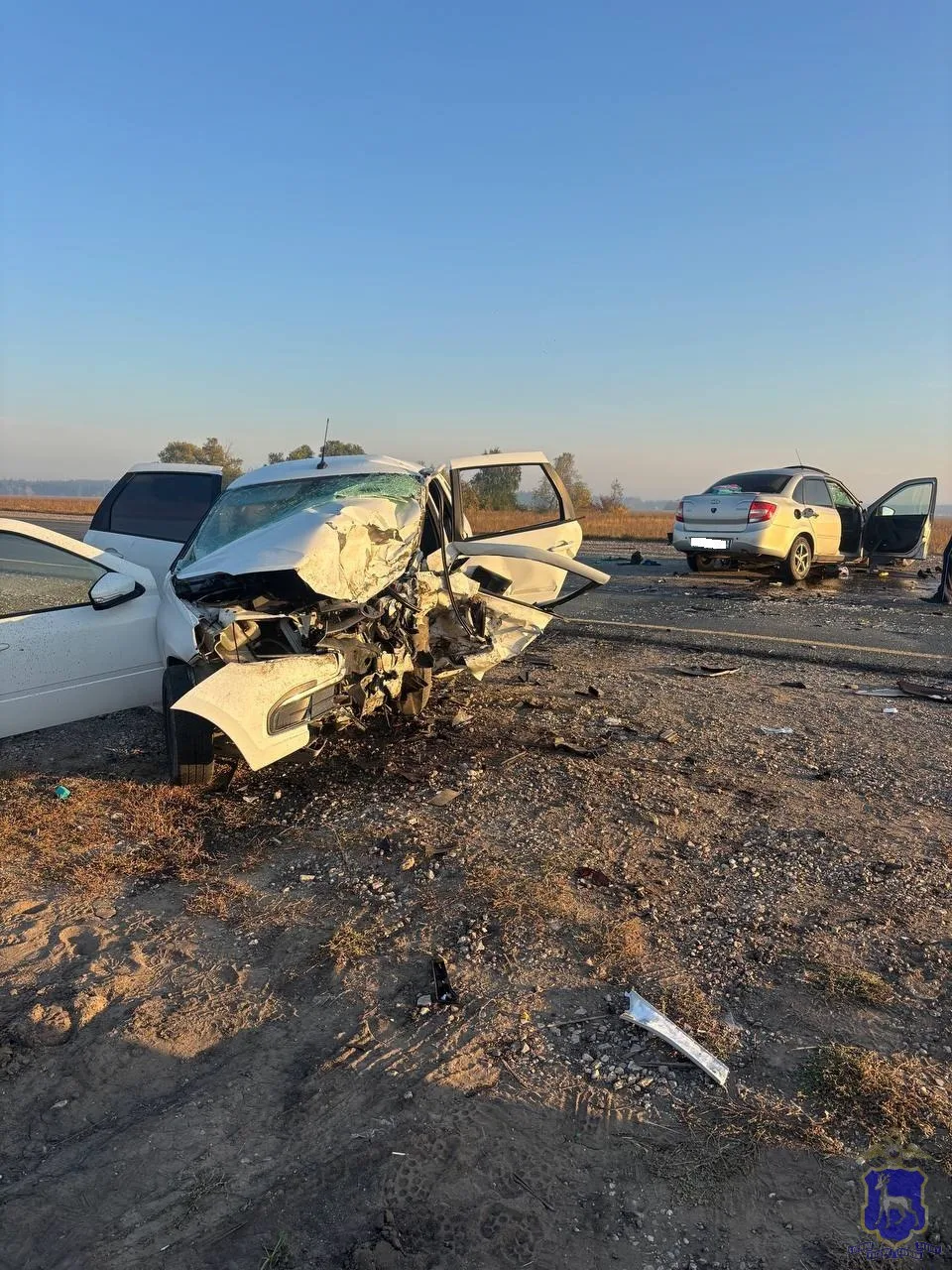 Появились видео и сведения о фронтальном ДТП с двумя жертвами в районе Самары