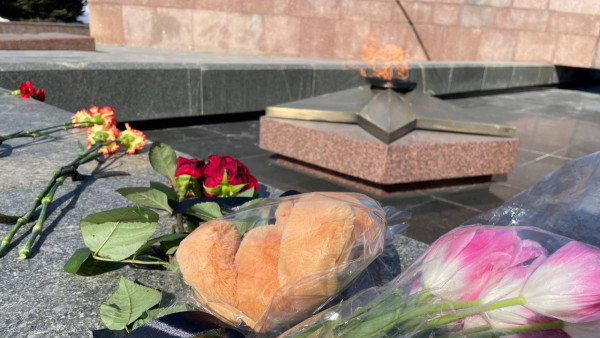 В Самаре устанавливают причины самоубийства 15-летней школьницы