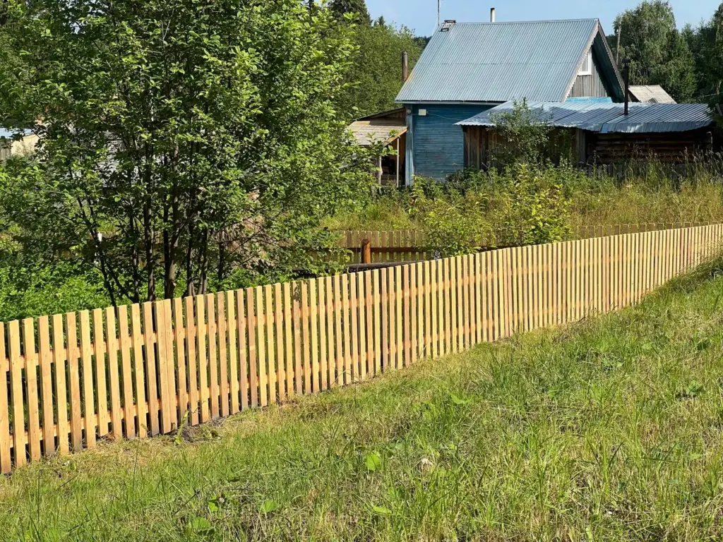 Вливаем отходы в нору — про крота навсегда забываем: как гуманно навсегда прогнать назойливого крота с участка