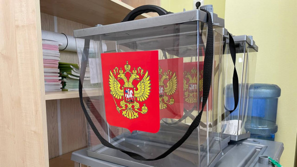 Предварительные результаты выборов депутатов в Самаре