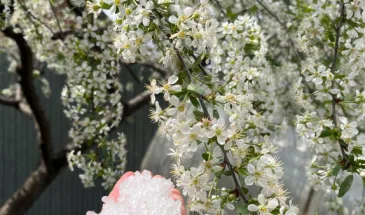 Синоптики сообщили, когда в Самарском регионе ожидается первый снег
