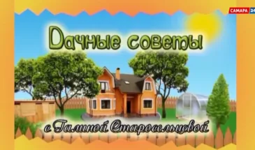 «Советы для дачников»: подготовка к зимнему сезону 2025