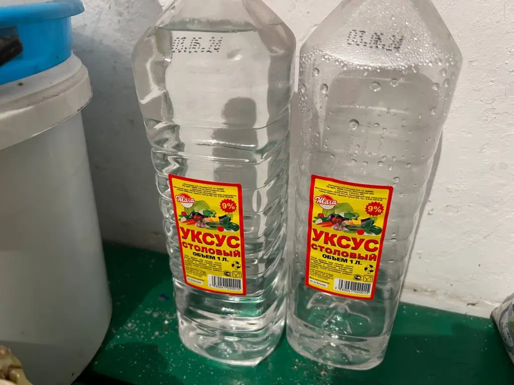 С первым снегом всегда покупаю 3 л уксуса — и не мучаюсь, как городские: подсказал старичок из деревни — дома спокойно всю зиму