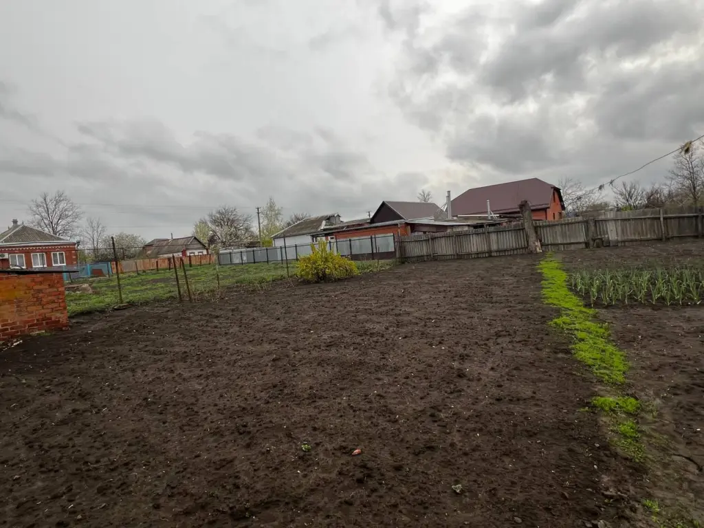 Сделайте сейчас — весной скажете себе спасибо: осенние лайфхаки для дачи, нужно обязательно успеть до холодов