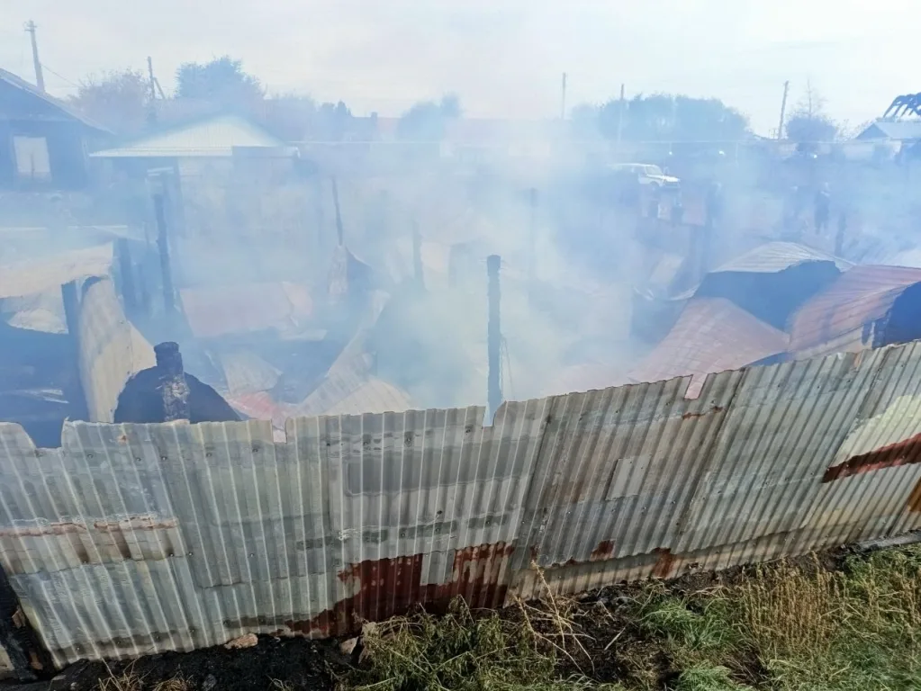 В Большечерниговском районе 40 животных погибли в сгоревших хозяйственных строениях