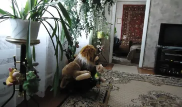 9 вещей в доме, из-за которых женщина стареет преждевременно — выкиньте их обязательно сегодня же