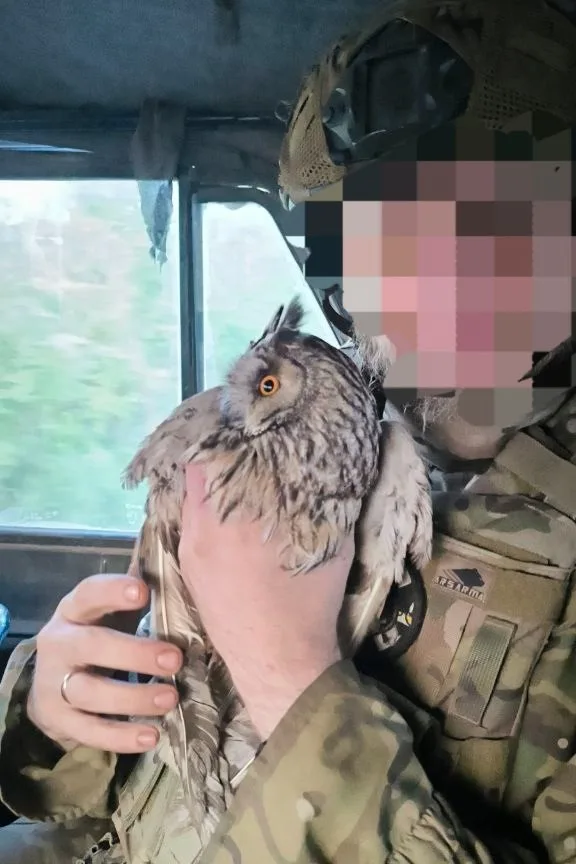 Сова оказала поддержку самарским военнослужащим в осуществлении операции в районе СВО