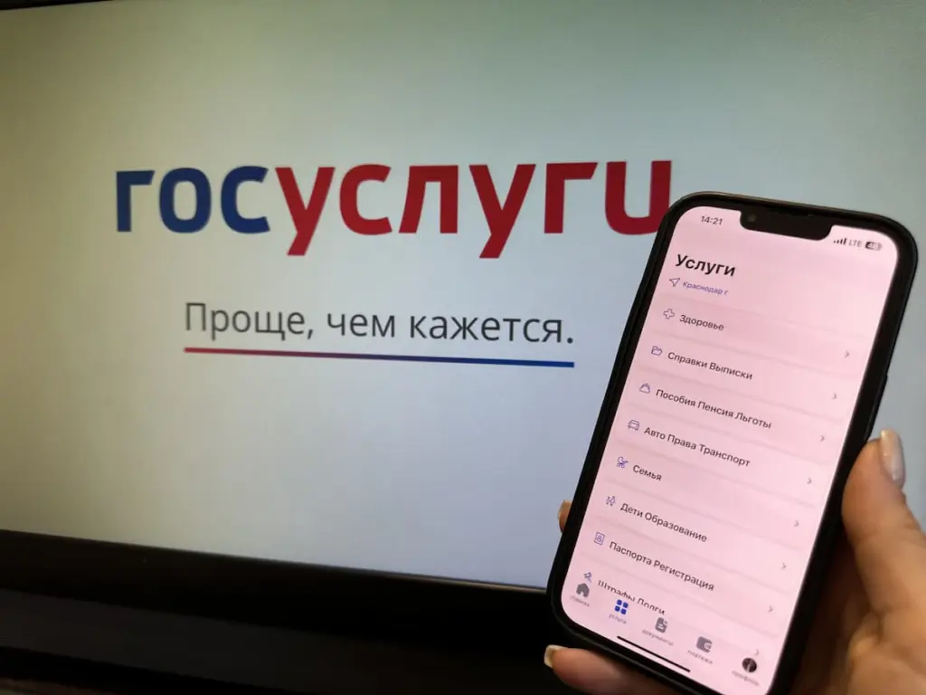 Сервис «Защита от мошенников в сети» набрал бешеную популярность на «Госуслугах»