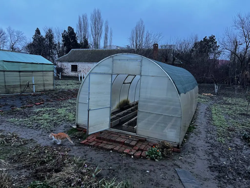 Дорогой навоз больше не нужен — соседка-огородница поделилась хитрым советом для шикарной почвы с помощью копеечного средства