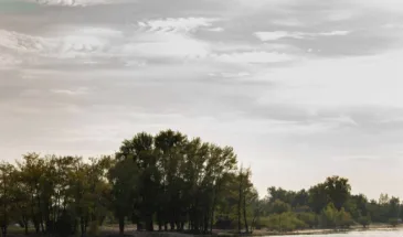 В Самаре планируют вывести из оборота 7,5 тысячи гектаров лесных угодий