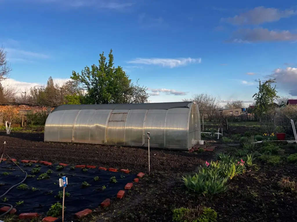 Готовимся к весенним посадкам уже осенью: чем раскислить землю осенью — 3 рабочих метода