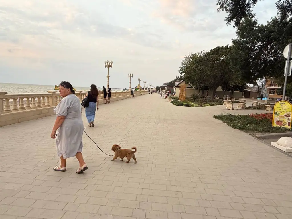 В старости пригодятся не друзья, не дети, не муж или жена, а эти 4 вещи — обязательно знать и молодым тоже