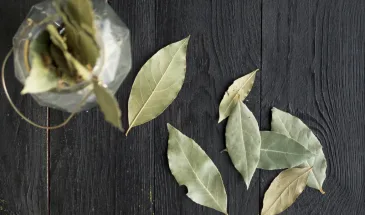 Закопала лавровый лист на огороде с первым холодом — вздохнула с облегчением: теперь делаю так каждую осень