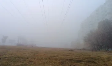 В Самаре зарегистрировано двукратное превышение уровня диоксида азота, способствующего возникновению астмы