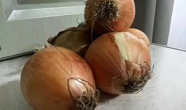 Запомните простое правило для вкусной зажарки: что на самом деле обжаривается первым — лук или морковь